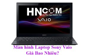 Thay màn hình laptop Sony Vaio PCG-61911P bao nhiêu tiền?